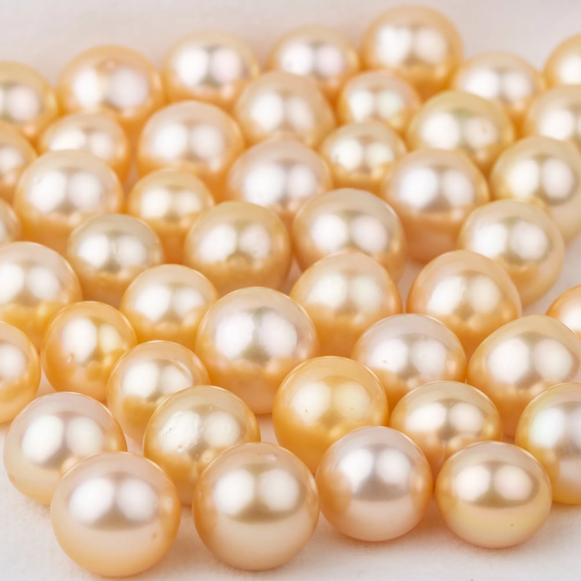 11-12mm cultured gold southsea Pearl High quality  loose seawater pearl round shape