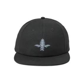 Silver Fern 6 Panel Black